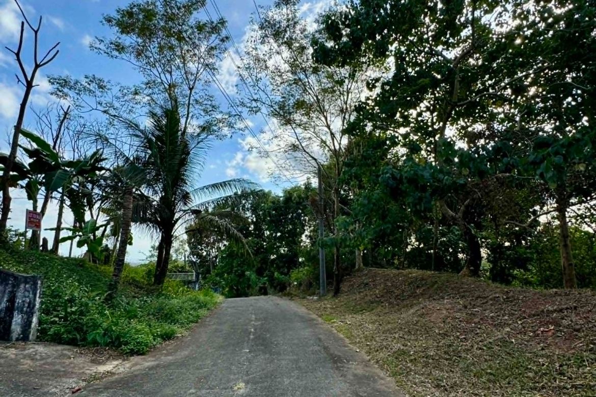 Land for Sale in Guitnang Bayan II, San Mateo, Rizal – photo 7