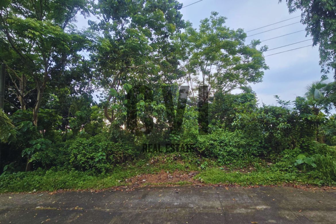 Land for Sale in Guitnang Bayan II, San Mateo, Rizal