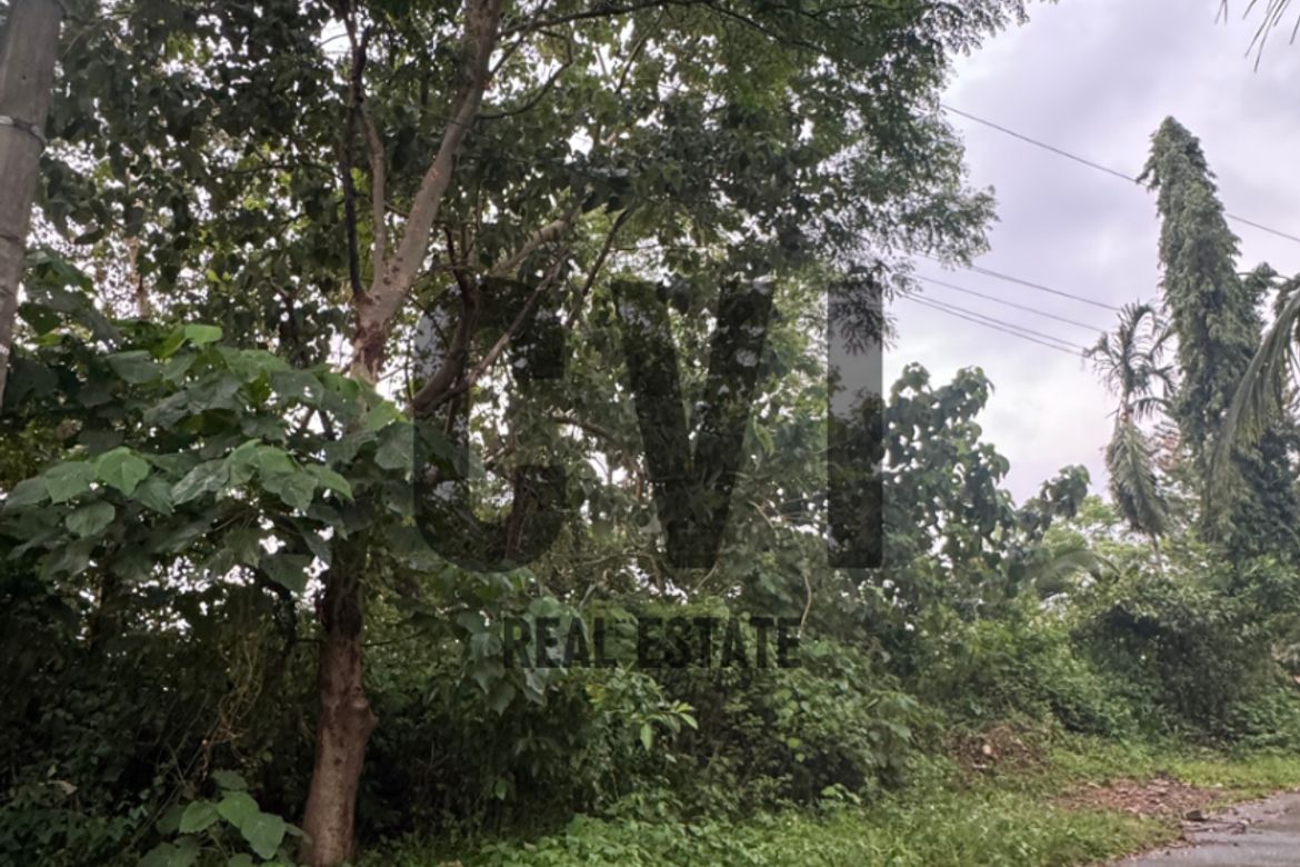 Land for Sale in Guitnang Bayan II, San Mateo, Rizal – photo 3