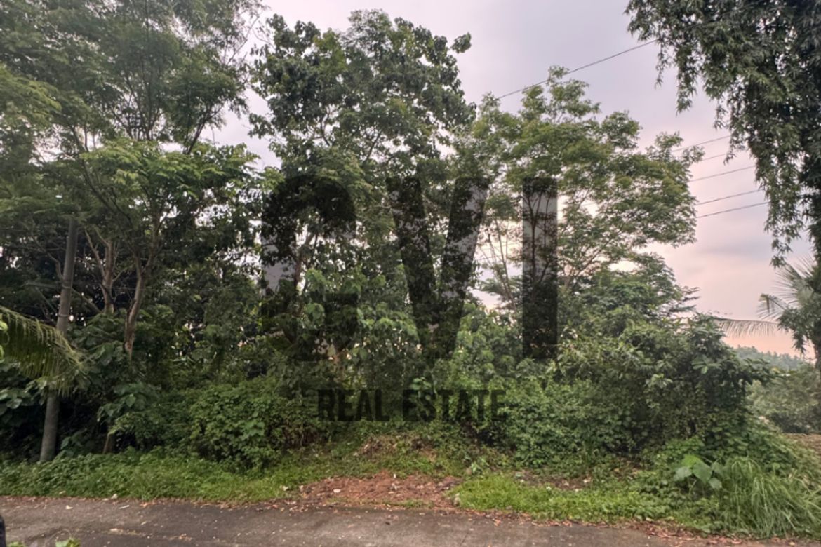 Land for Sale in Guitnang Bayan II, San Mateo, Rizal – photo 5