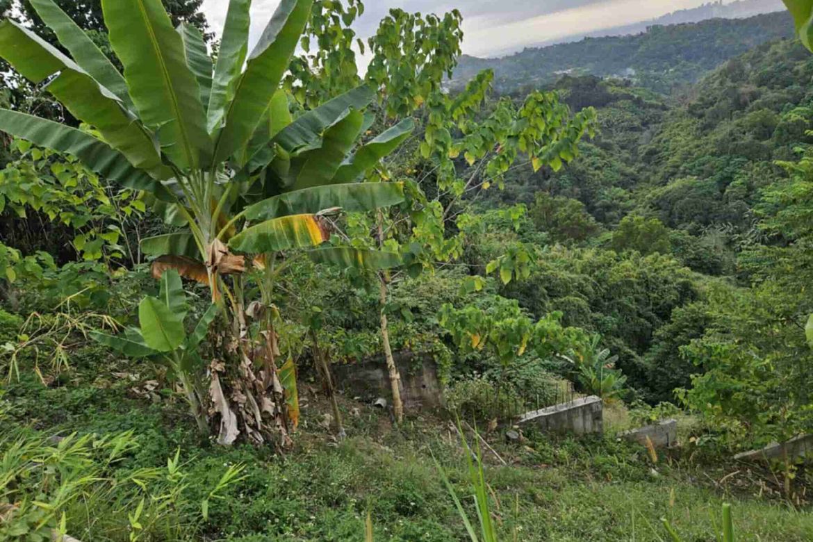 Land for Sale in Guitnang Bayan II, San Mateo, Rizal