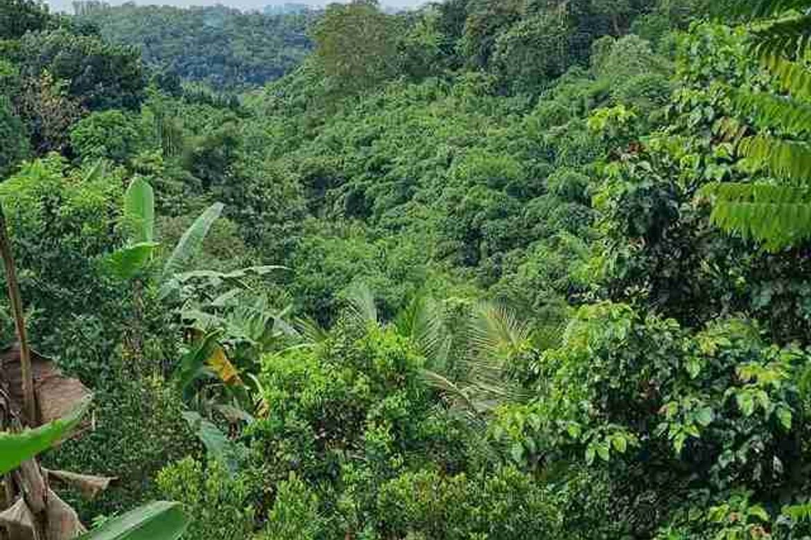 Land for Sale in Guitnang Bayan II, San Mateo, Rizal – photo 3