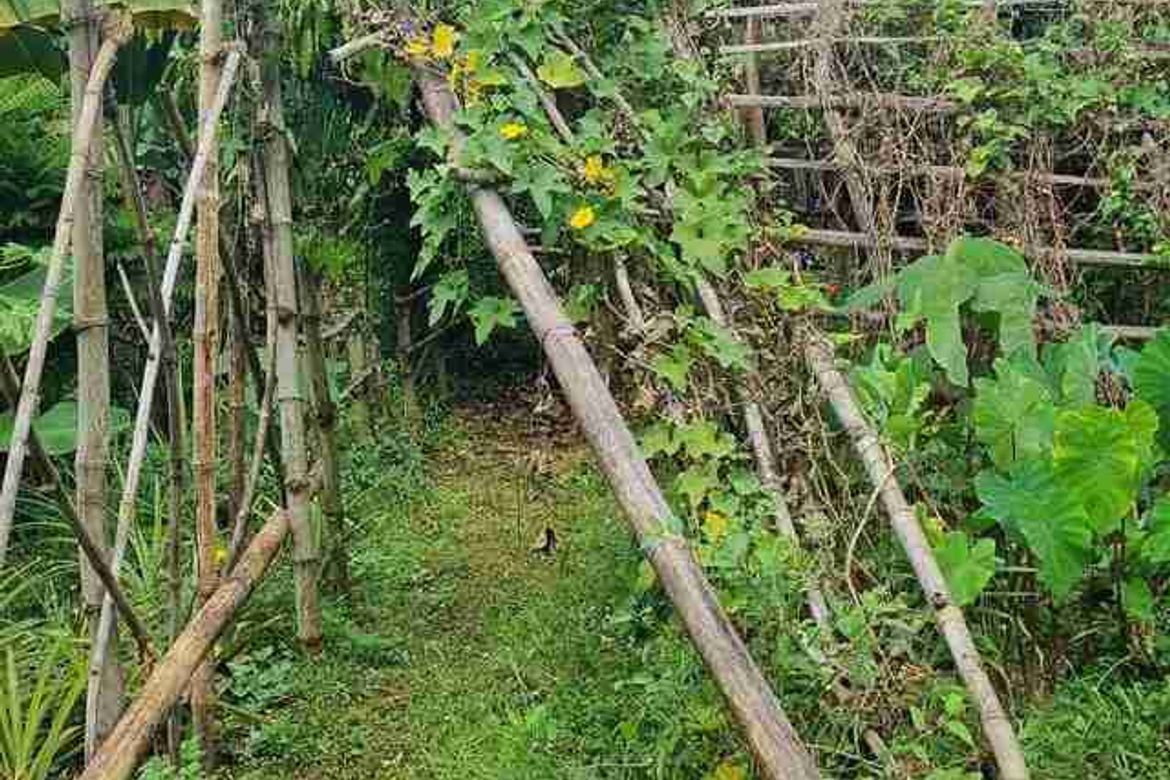 Land for Sale in Guitnang Bayan II, San Mateo, Rizal – photo 5