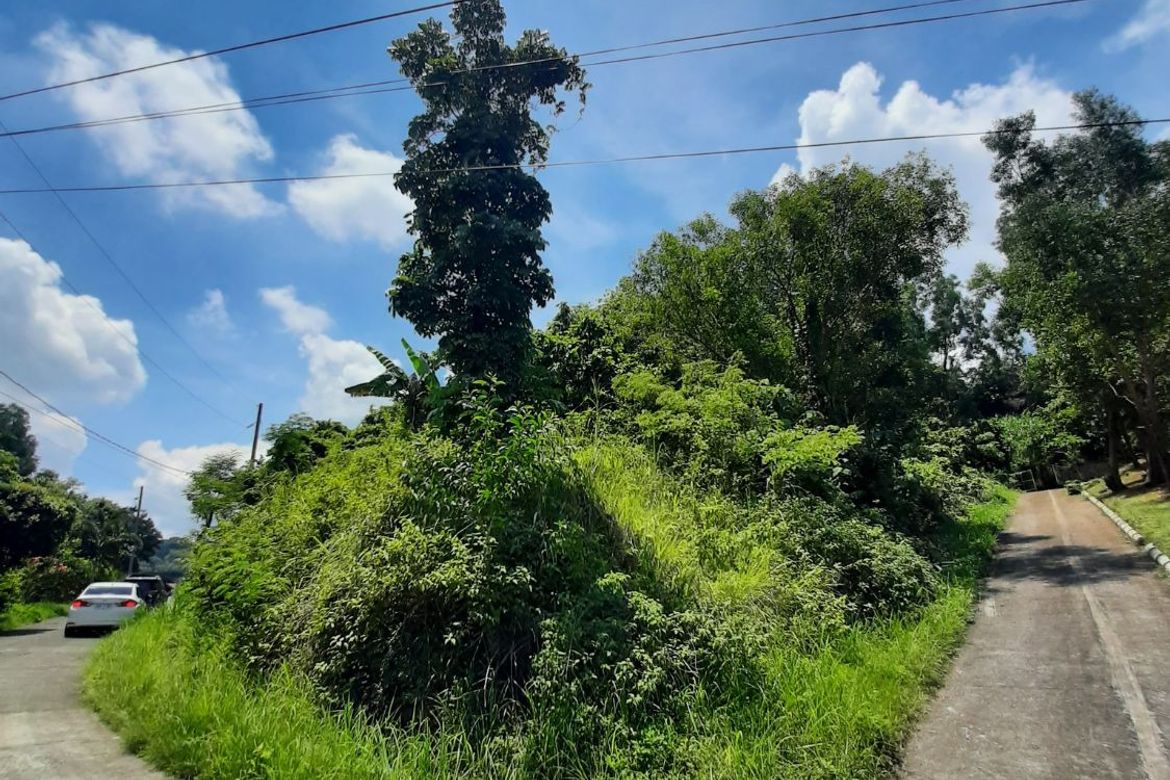 Land for Sale in Guitnang Bayan II, San Mateo, Rizal