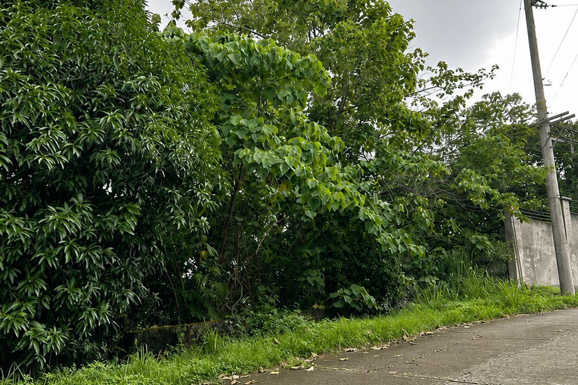 Land for Sale in Guitnang Bayan II, San Mateo, Rizal