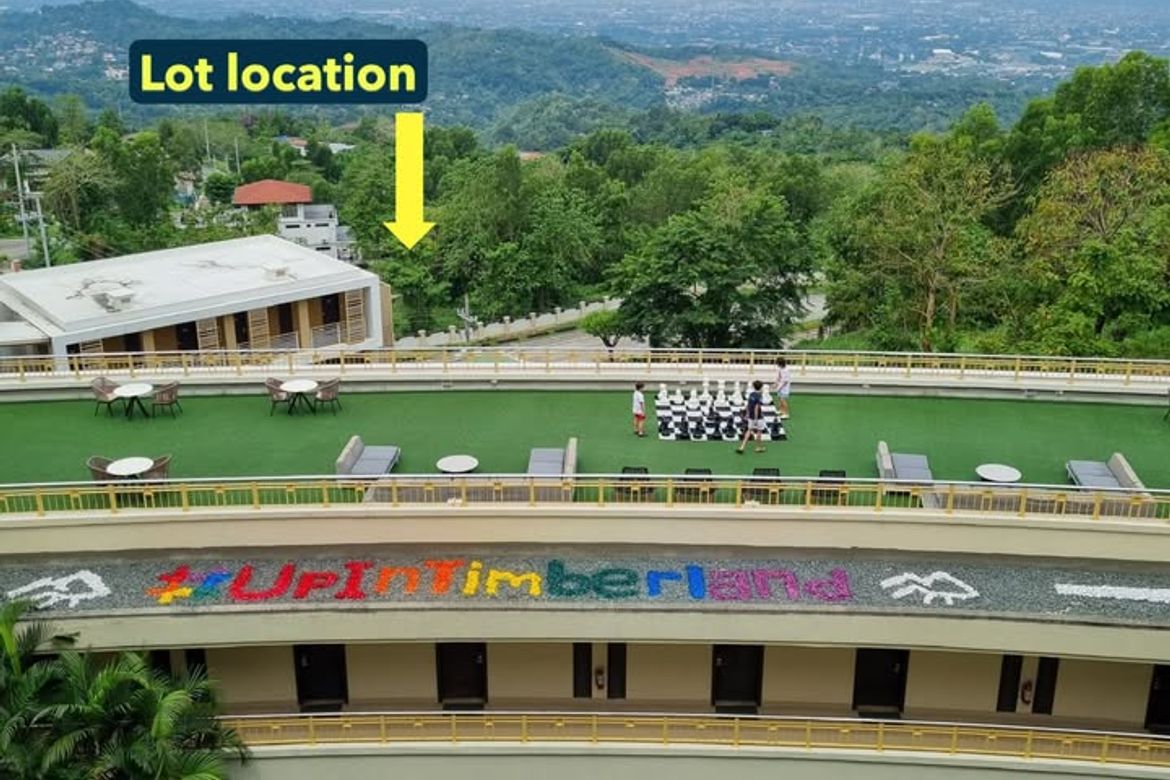 Land for Sale in Guitnang Bayan II, San Mateo, Rizal – photo 6