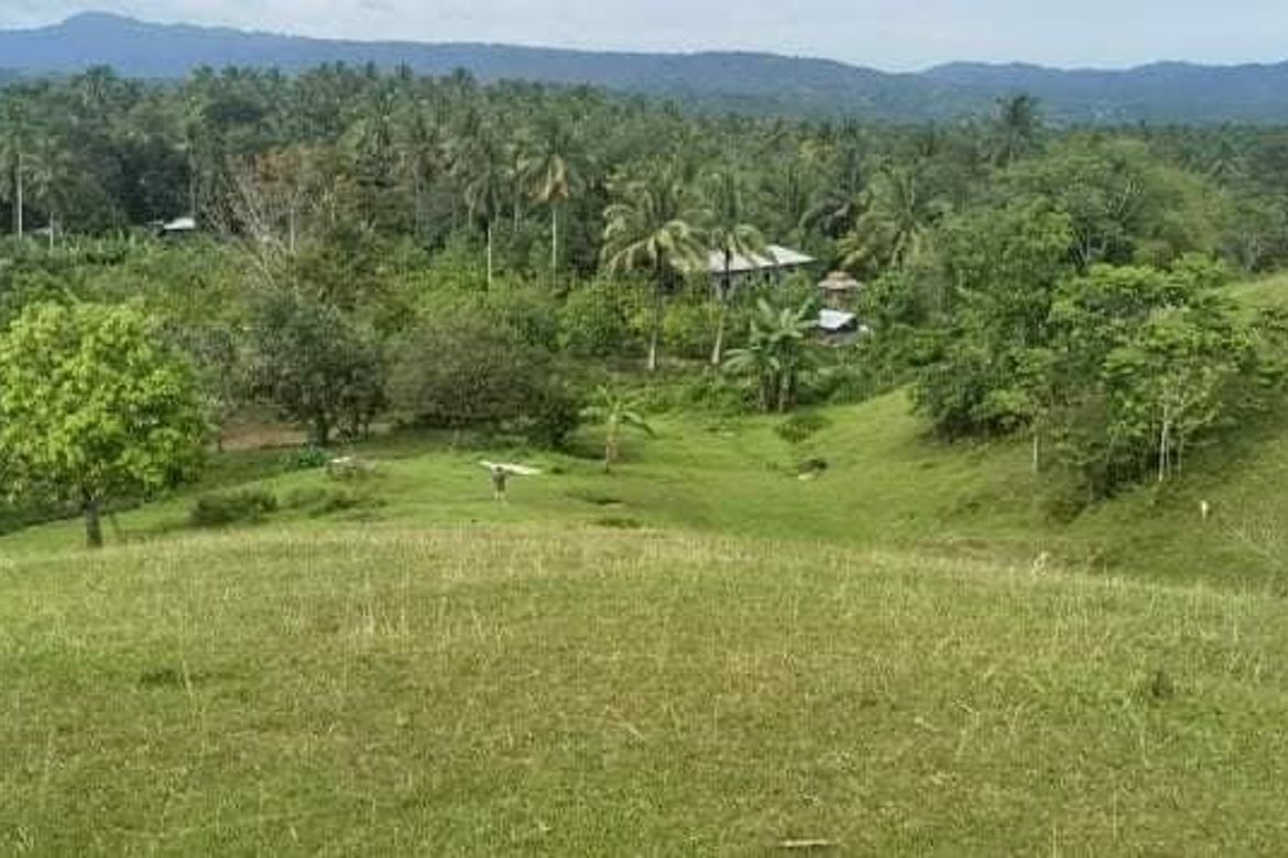 Land for Sale in Gumalang, Davao City, Davao del Sur