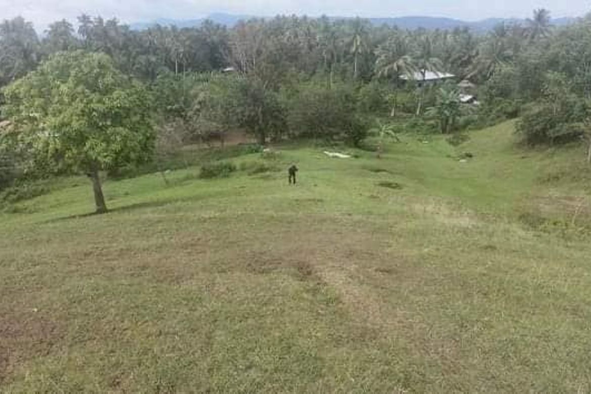 Land for Sale in Gumalang, Davao City, Davao del Sur – photo 3