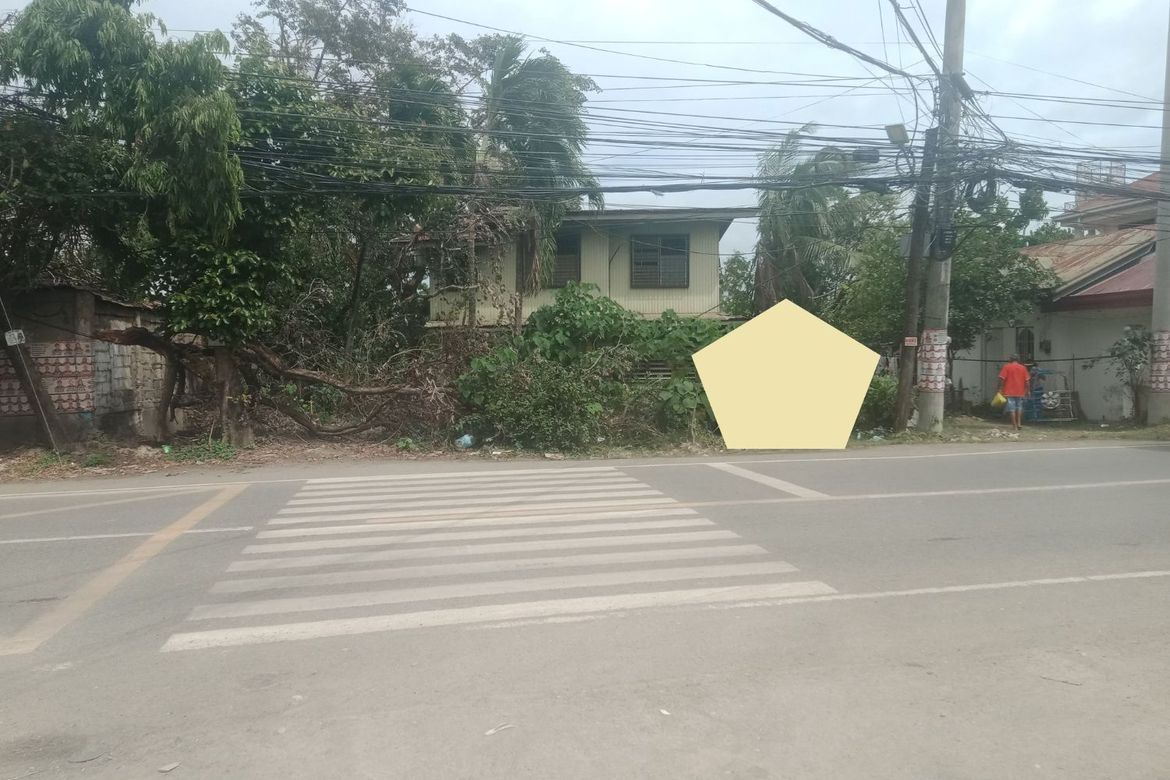 Land for Sale in Gun-Ob, Lapu-Lapu, Cebu – photo 2