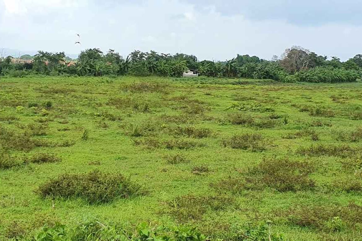 Land for Sale in Habay II, Bacoor, Cavite