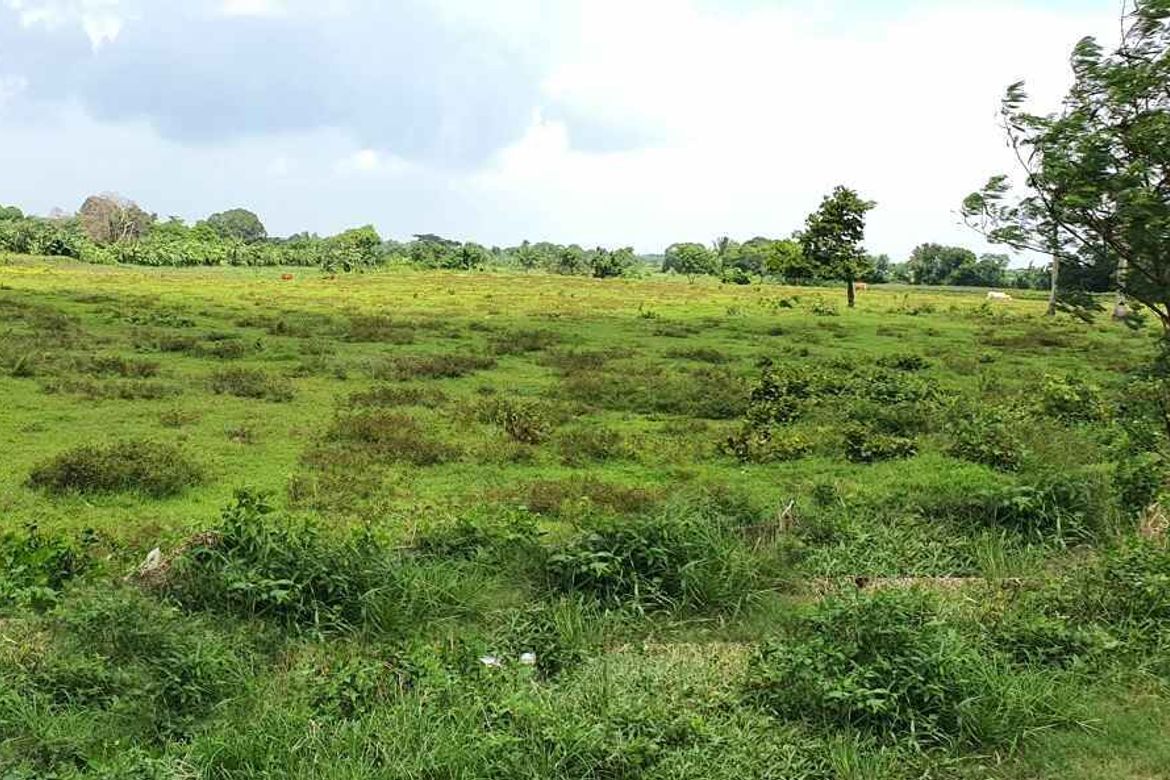 Land for Sale in Habay II, Bacoor, Cavite – photo 4