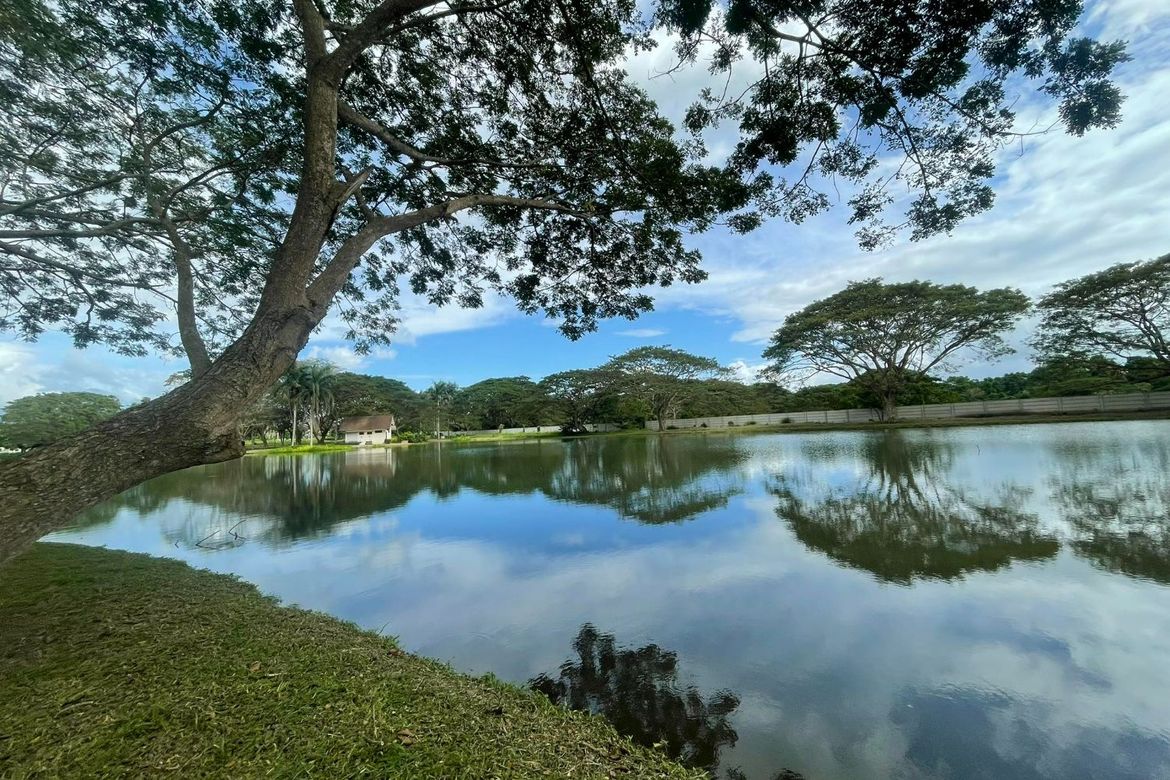 Land for Sale in Hacienda Escudero, Anastacia, Tiaong, Quezon – photo 4