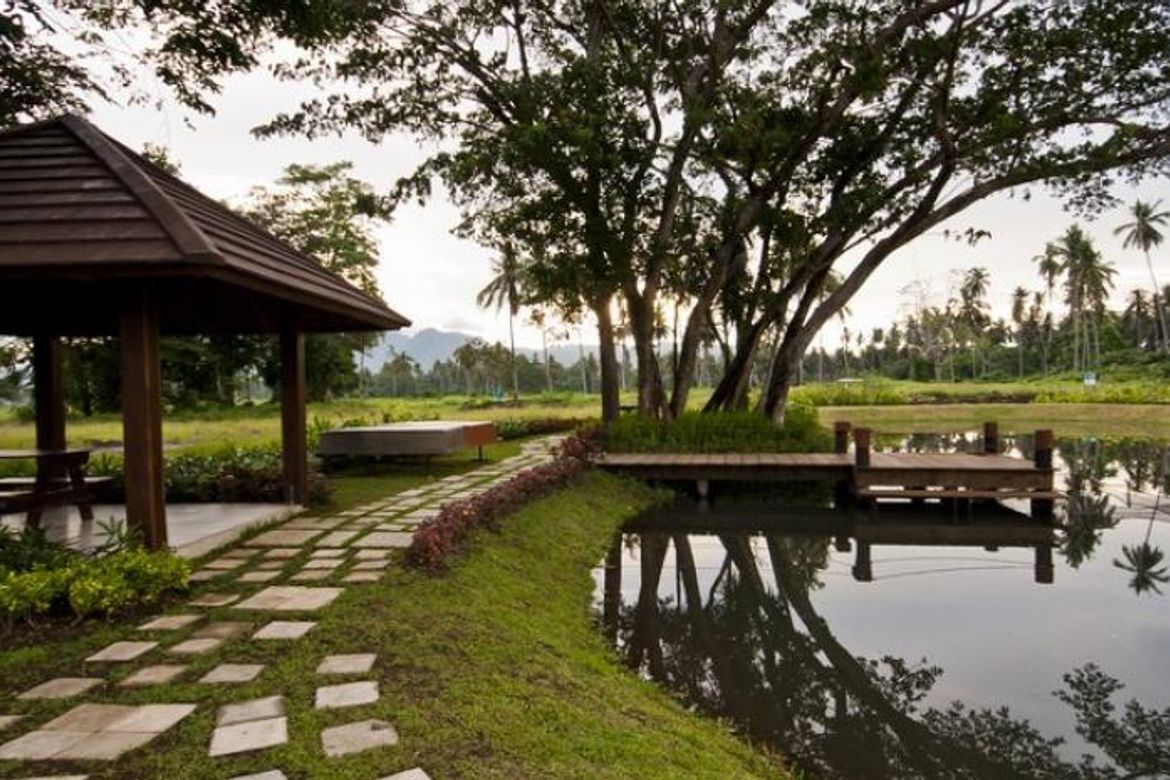 Land for Sale in Hacienda Escudero, Anastacia, Tiaong, Quezon – photo 3