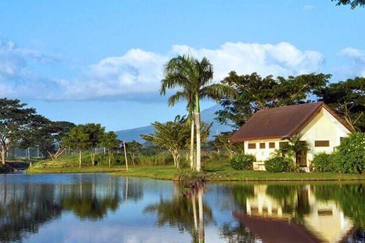 Land for Sale in Hacienda Escudero, Anastacia, Tiaong, Quezon – photo 6