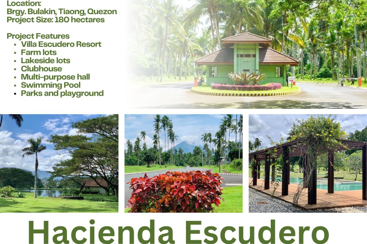 Land for Sale in Hacienda Escudero, Anastacia, Tiaong, Quezon