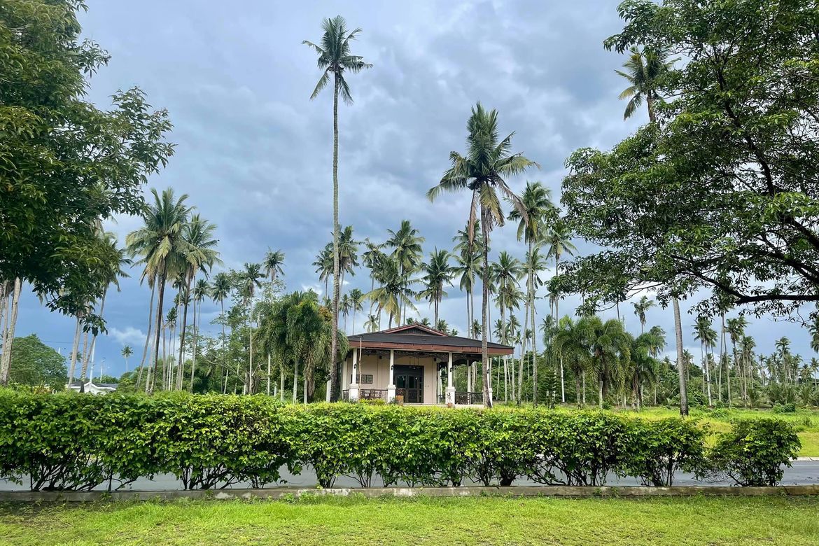 Land for Sale in Hacienda Escudero, Anastacia, Tiaong, Quezon – photo 3