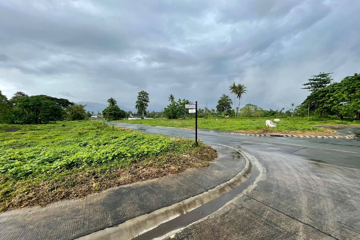 Land for Sale in Hacienda Escudero, Anastacia, Tiaong, Quezon – photo 7
