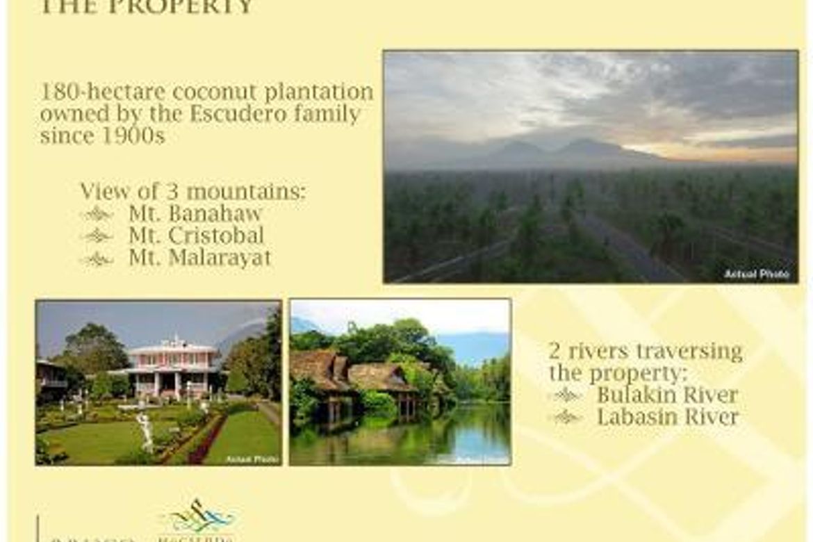 Land for Sale in Hacienda Escudero, Anastacia, Tiaong, Quezon – photo 2
