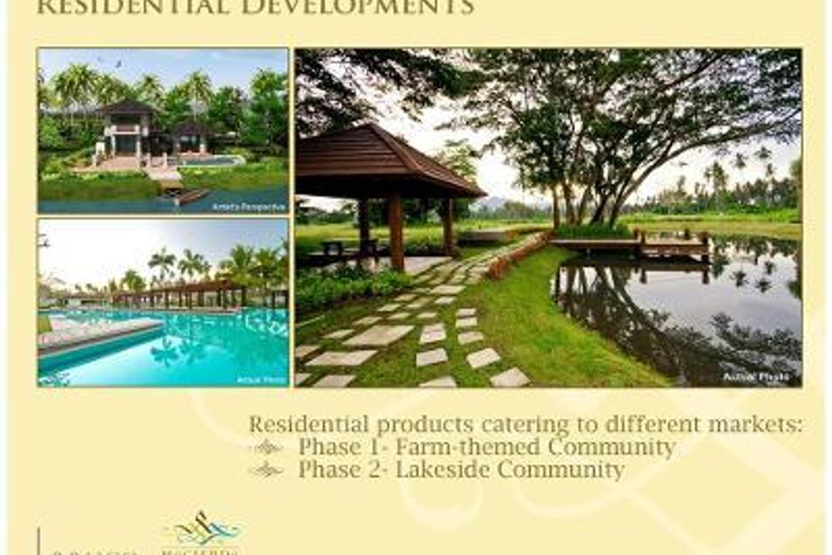 Land for Sale in Hacienda Escudero, Anastacia, Tiaong, Quezon – photo 4