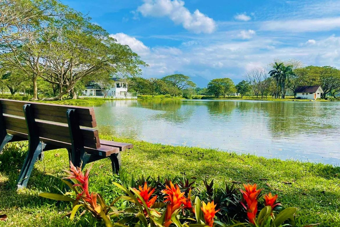 Land for Sale in Hacienda Escudero, Anastacia, Tiaong, Quezon – photo 2