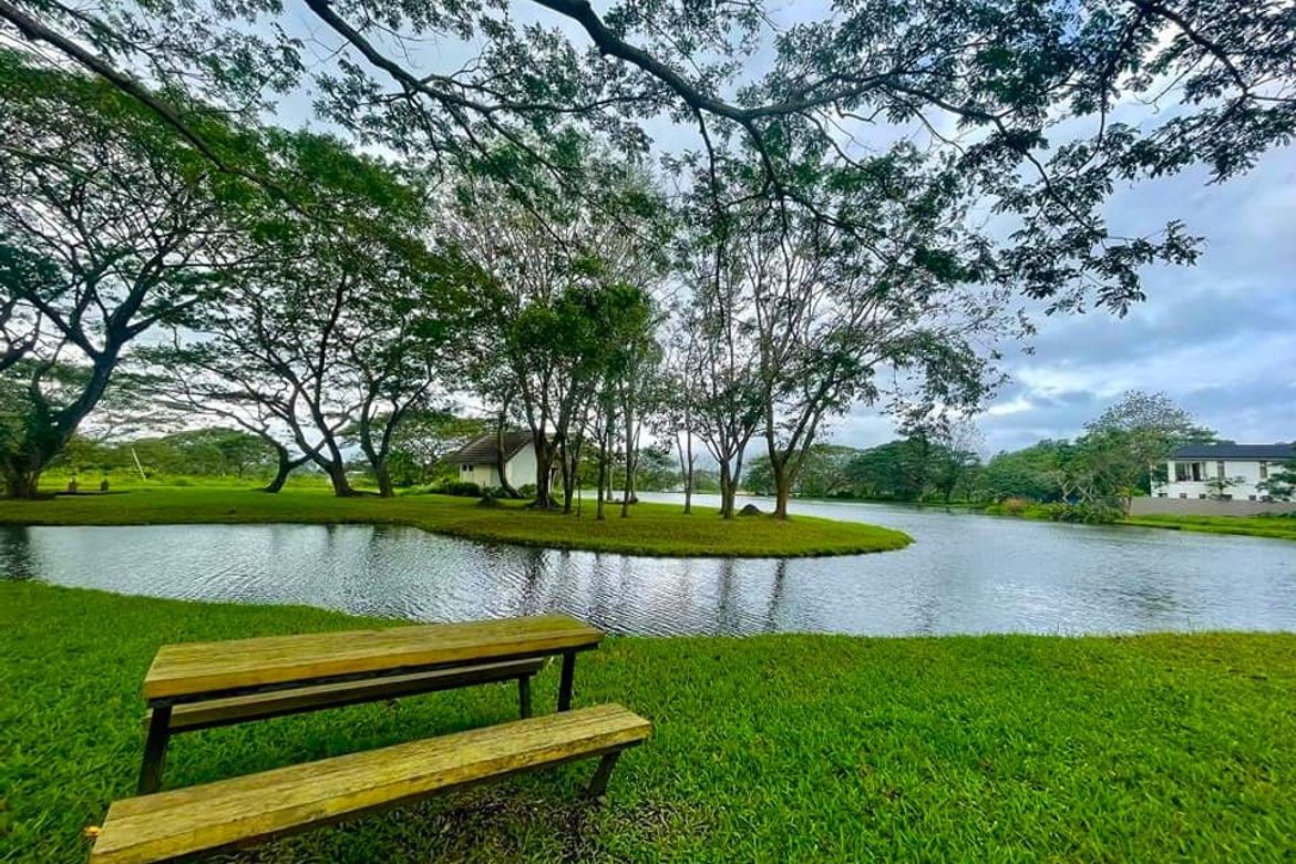 Land for Sale in Hacienda Escudero, Anastacia, Tiaong, Quezon – photo 5