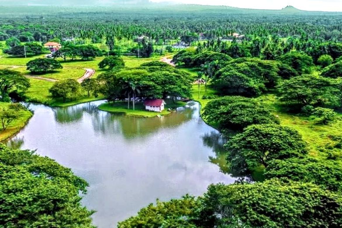 Land for Sale in Hacienda Escudero, Anastacia, Tiaong, Quezon – photo 8