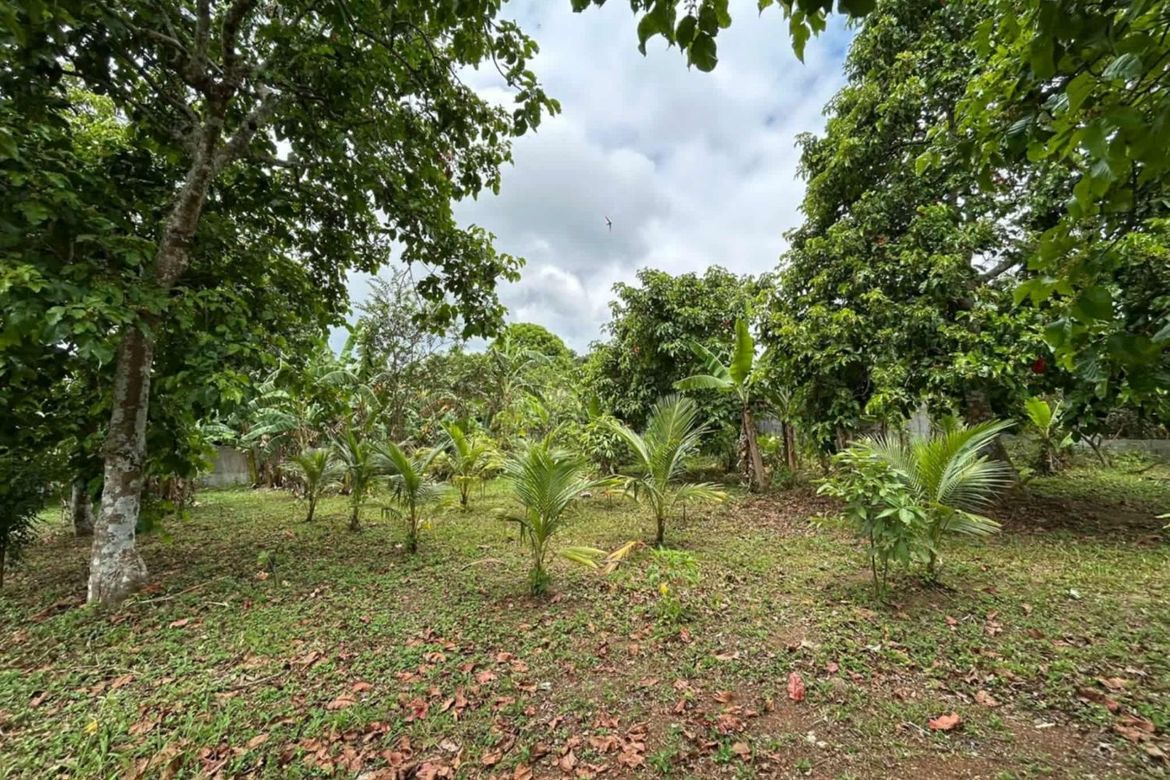 Land for Sale in Halang, Amadeo, Cavite – photo 3