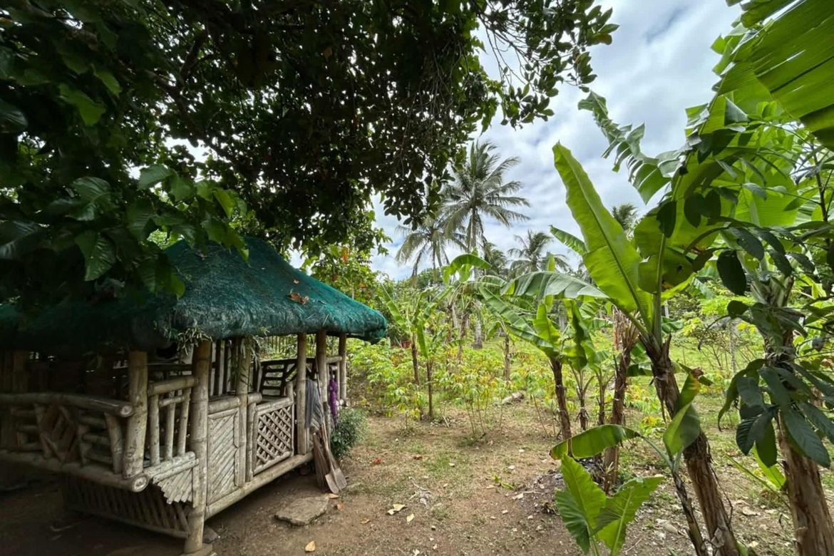 Land for Sale in Halang, Amadeo, Cavite – photo 5