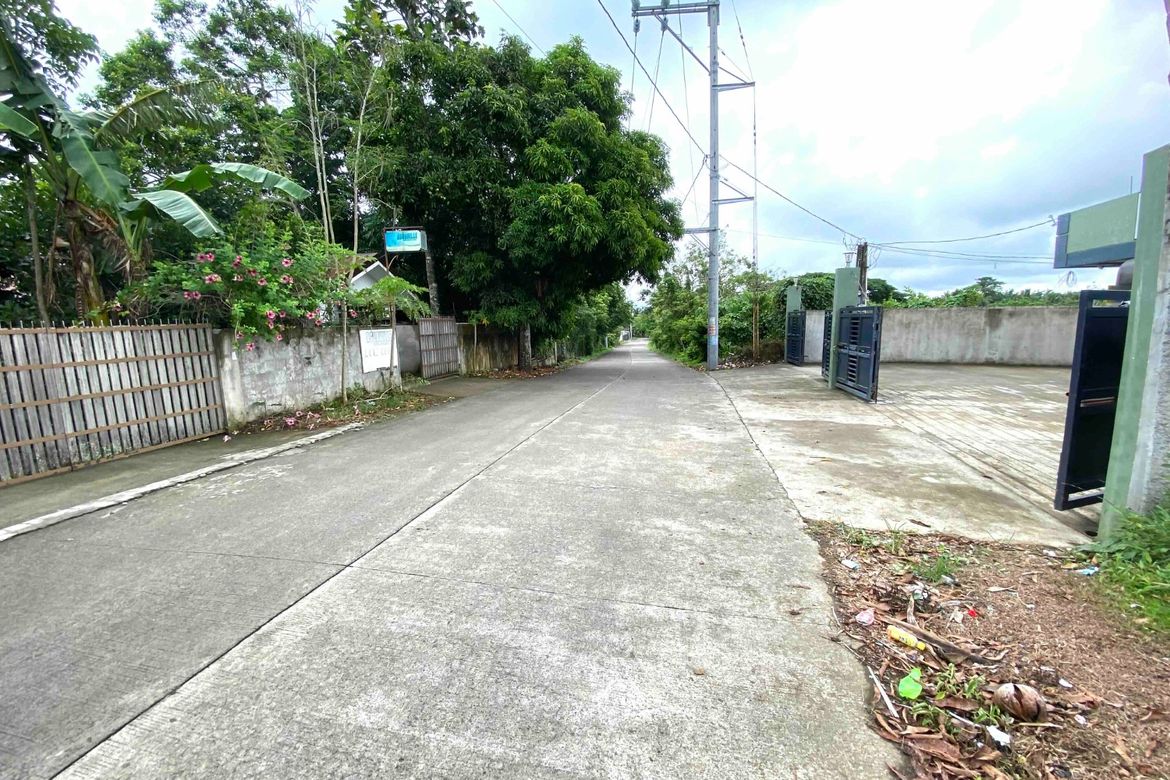 Land for Sale in Halang, Amadeo, Cavite – photo 3