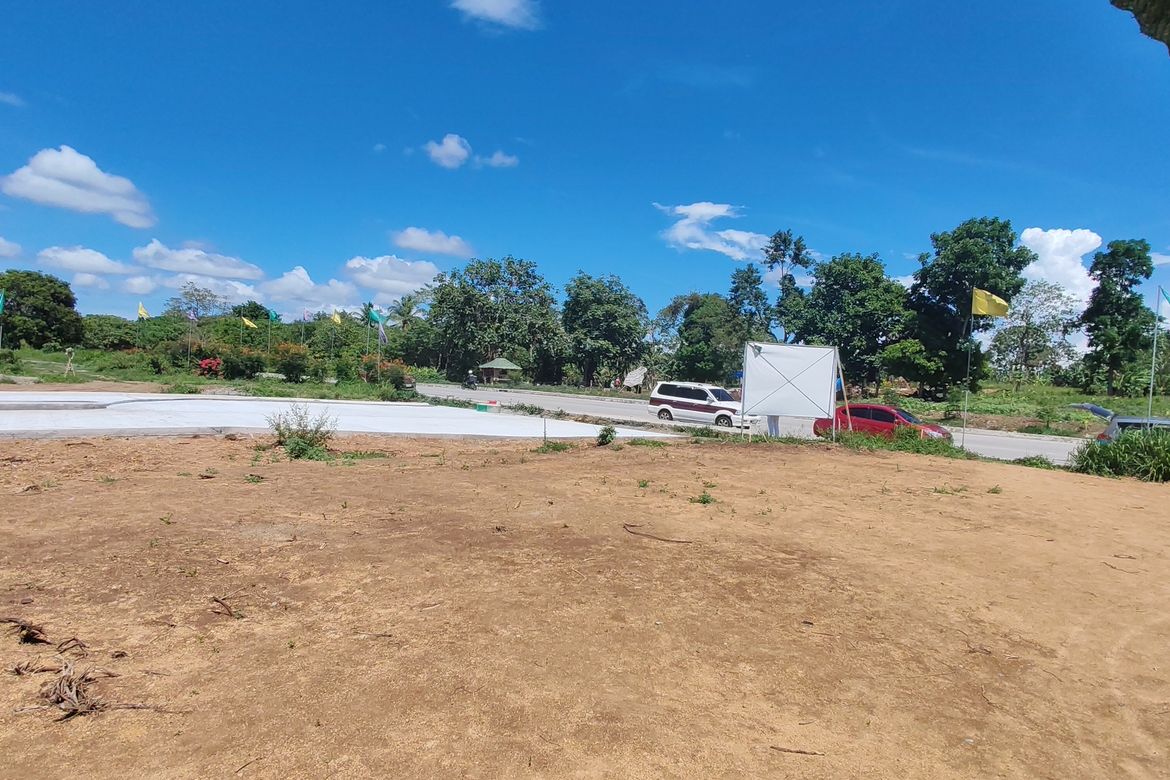 Land for Sale in Halang, Amadeo, Cavite – photo 3