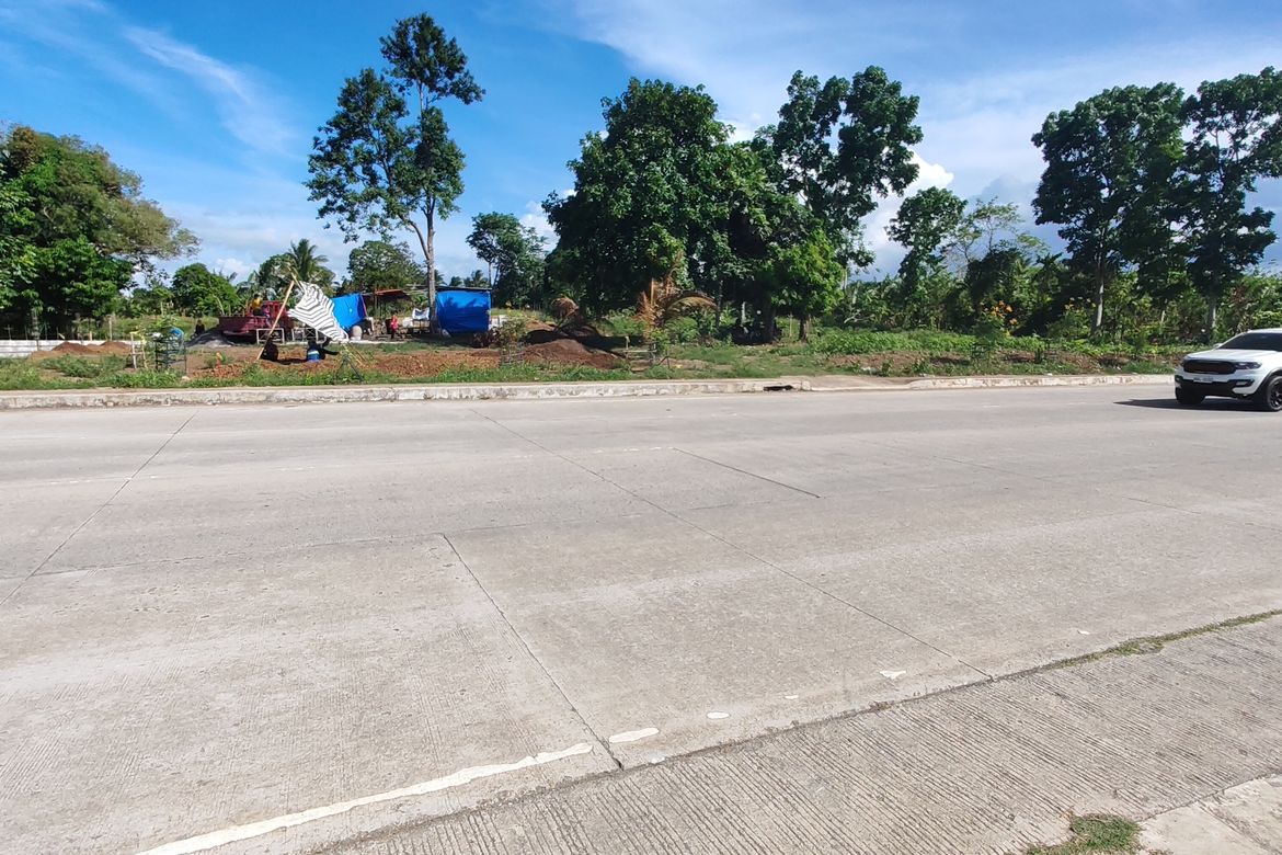 Land for Sale in Halang, Amadeo, Cavite – photo 4