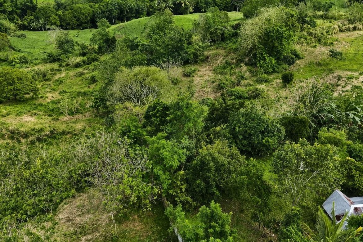 Land for Sale in Halayhayin, Pililla, Rizal – photo 3