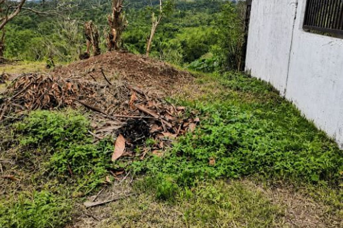 Land for Sale in Halayhayin, Pililla, Rizal – photo 5