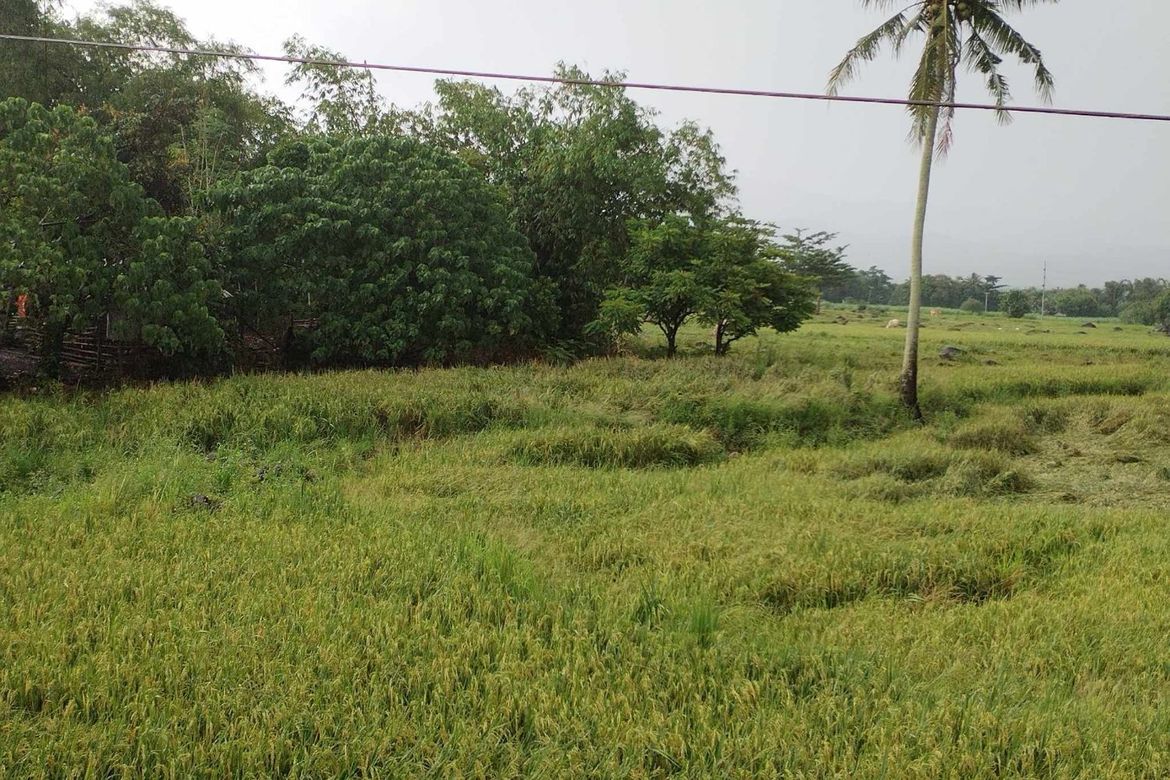 Land for Sale in Hanawan, Ocampo, Camarines Sur