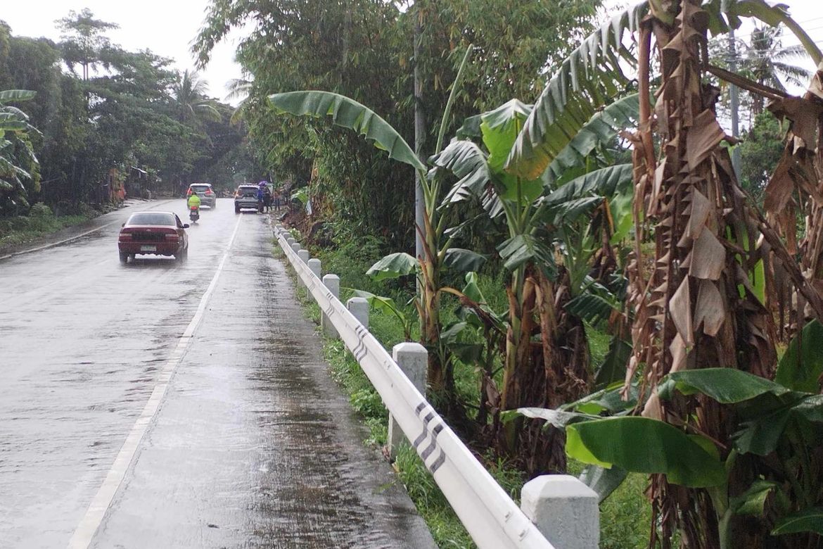 Land for Sale in Hanawan, Ocampo, Camarines Sur – photo 5