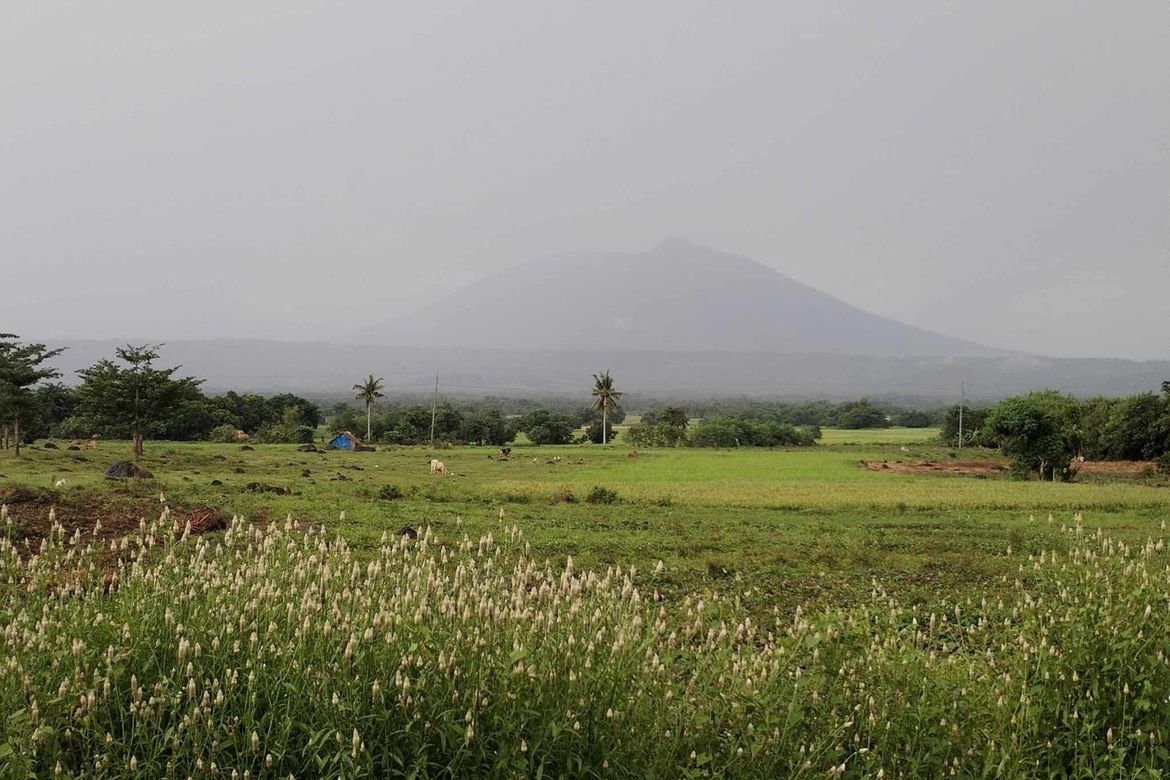 Land for Sale in Hanawan, Ocampo, Camarines Sur – photo 8