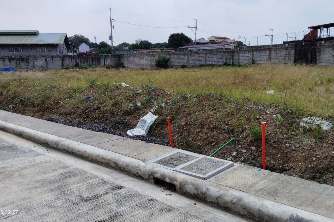 Land for Sale in Hen. T. de Leon, Valenzuela, Metro Manila – photo 2