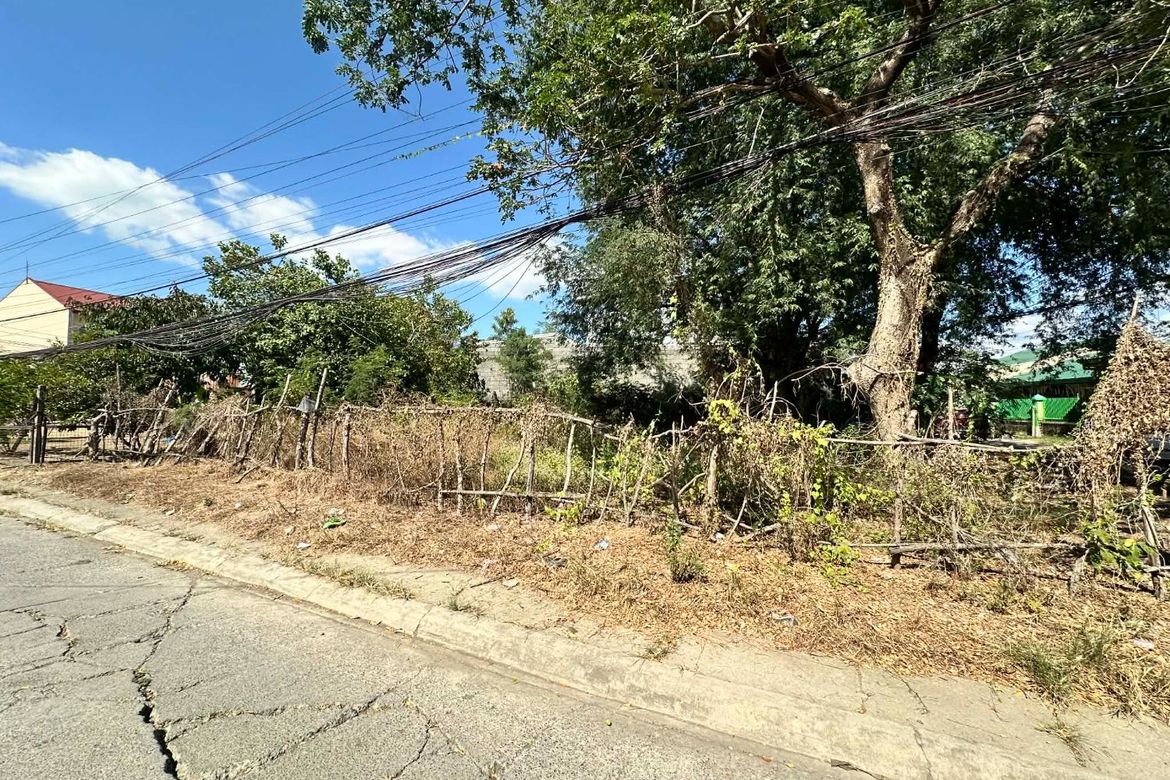 Land for Sale in Hermogenes C. Concepcion, Sr., Cabanatuan, Nueva Ecija – photo 2
