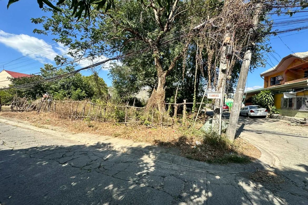 Land for Sale in Hermogenes C. Concepcion, Sr., Cabanatuan, Nueva Ecija – photo 3