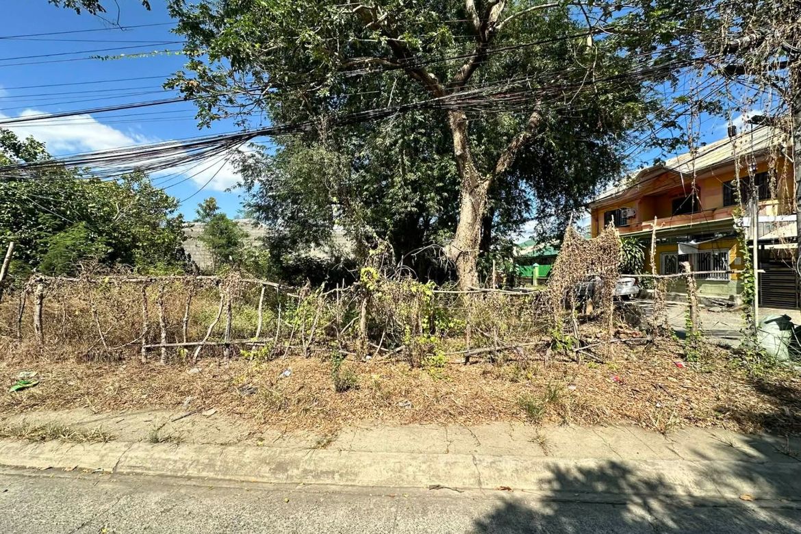 Land for Sale in Hermogenes C. Concepcion, Sr., Cabanatuan, Nueva Ecija – photo 6
