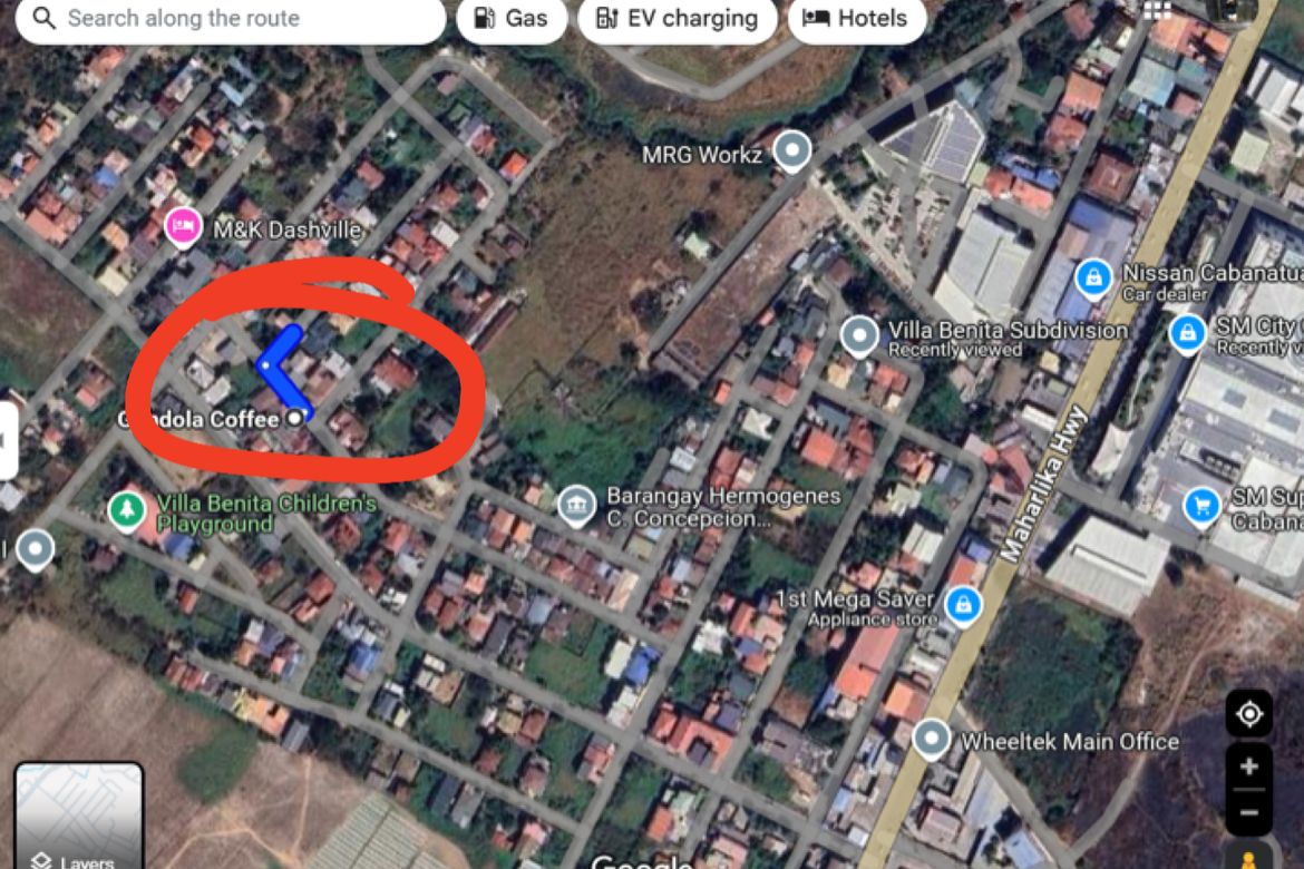 Land for Sale in Hermogenes C. Concepcion, Sr., Cabanatuan, Nueva Ecija – photo 8