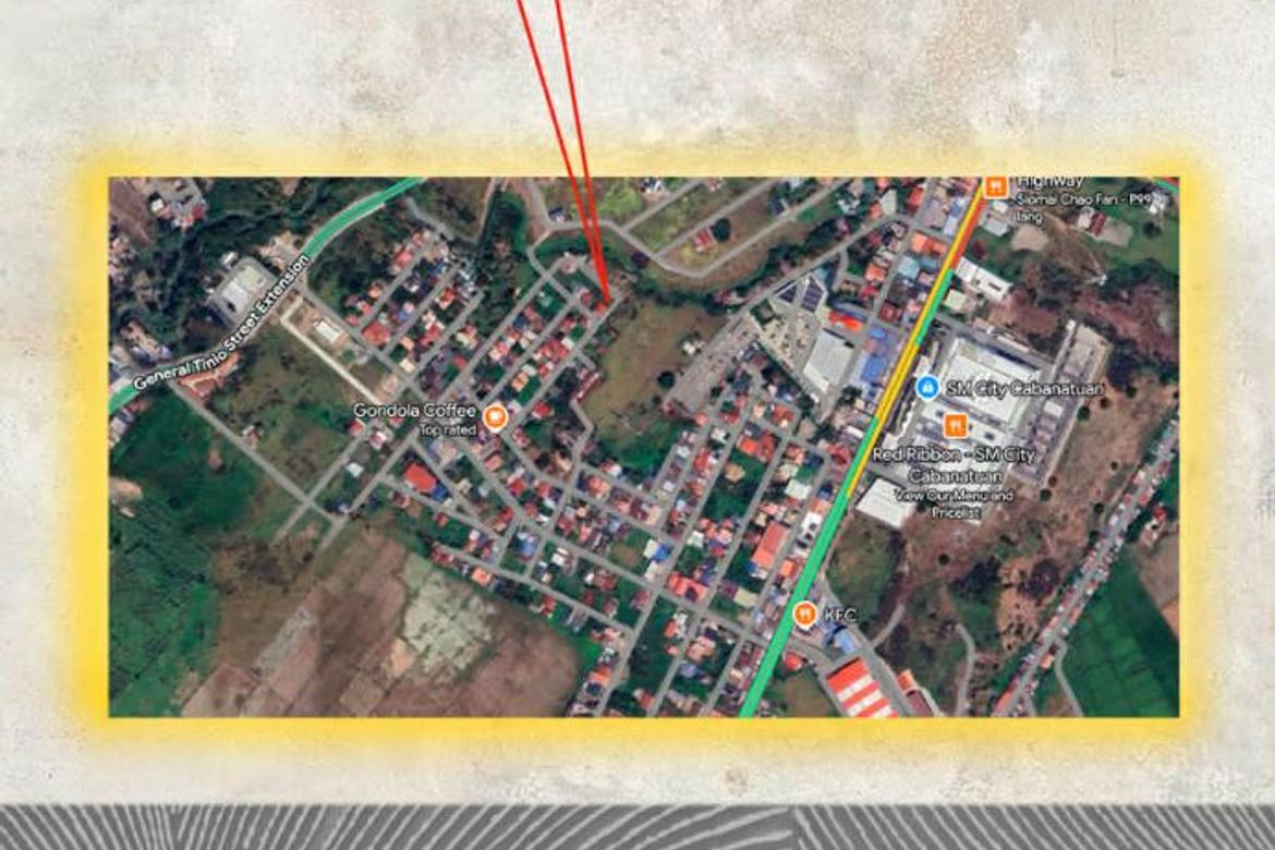 Land for Sale in Hermogenes C. Concepcion, Sr., Cabanatuan, Nueva Ecija – photo 6