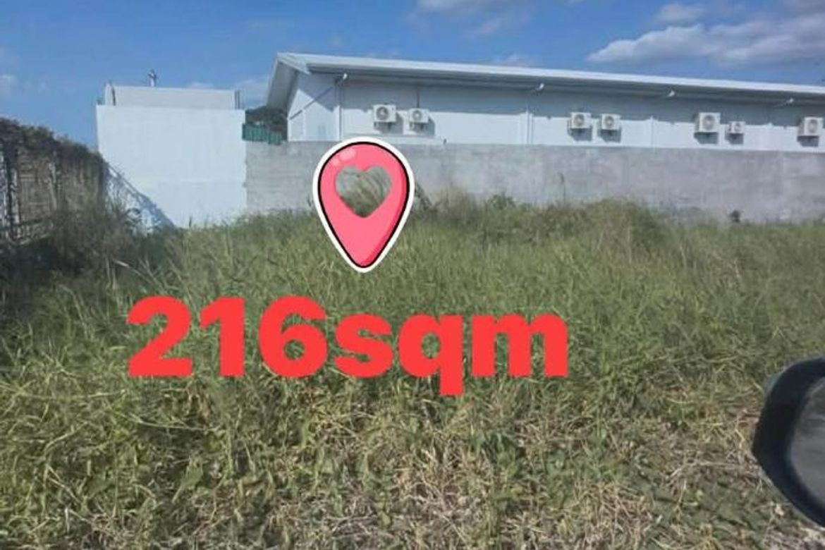 Land for Sale in Hermogenes C. Concepcion, Sr., Cabanatuan, Nueva Ecija – photo 7