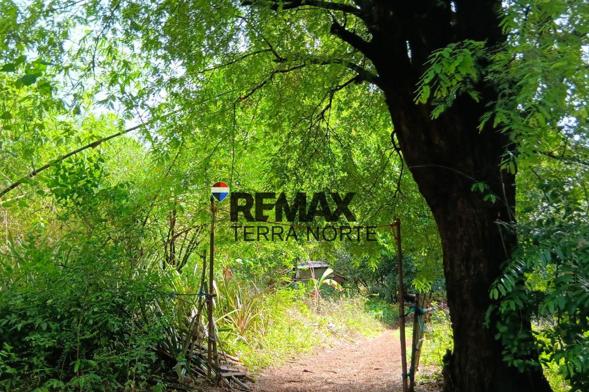 Land for Sale in Hermosa, Dasol, Pangasinan
