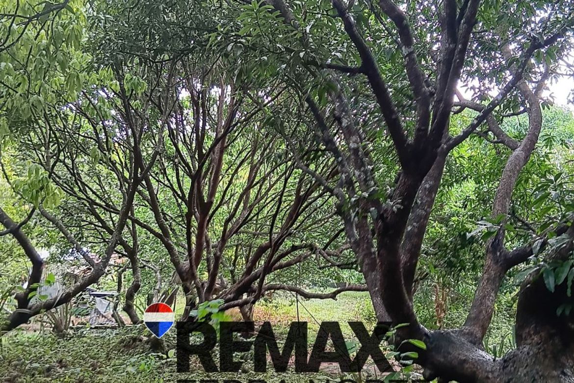 Land for Sale in Hermosa, Dasol, Pangasinan – photo 2