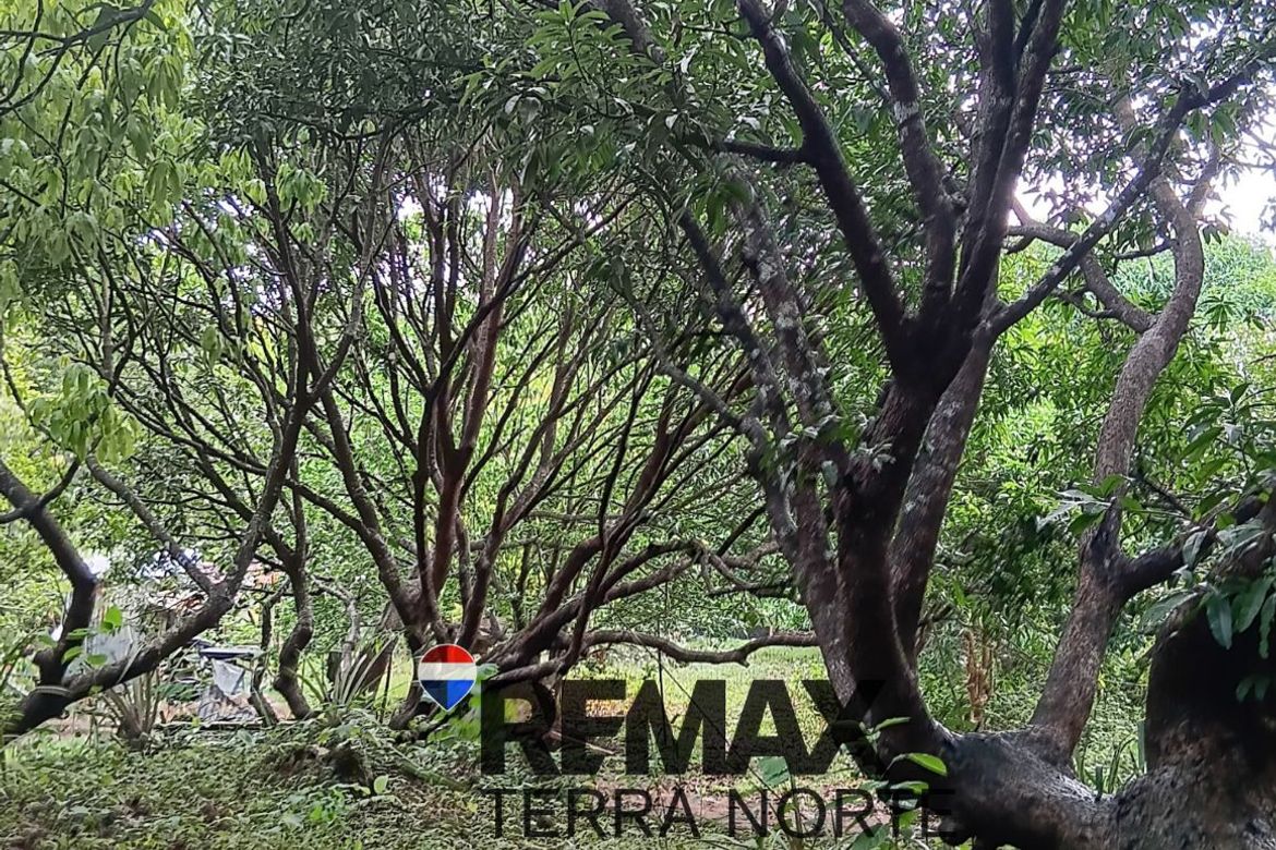 Land for Sale in Hermosa, Dasol, Pangasinan – photo 3