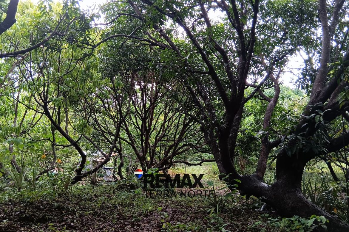 Land for Sale in Hermosa, Dasol, Pangasinan – photo 4