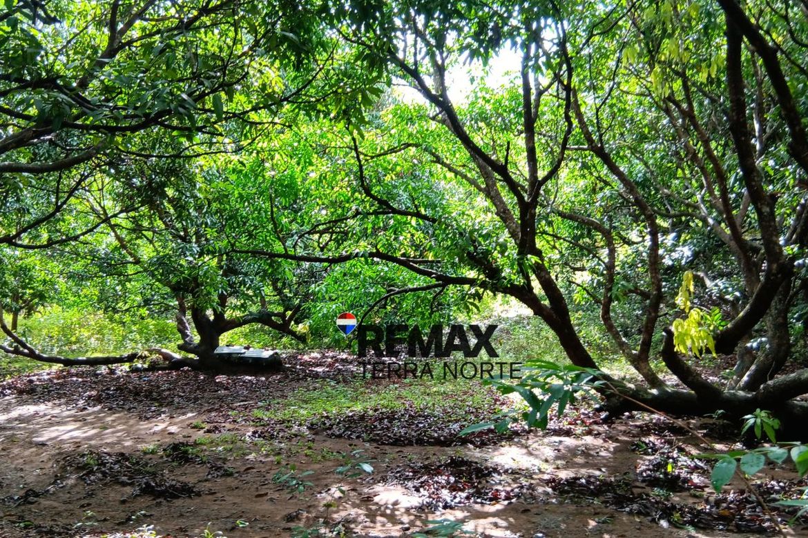 Land for Sale in Hermosa, Dasol, Pangasinan – photo 6