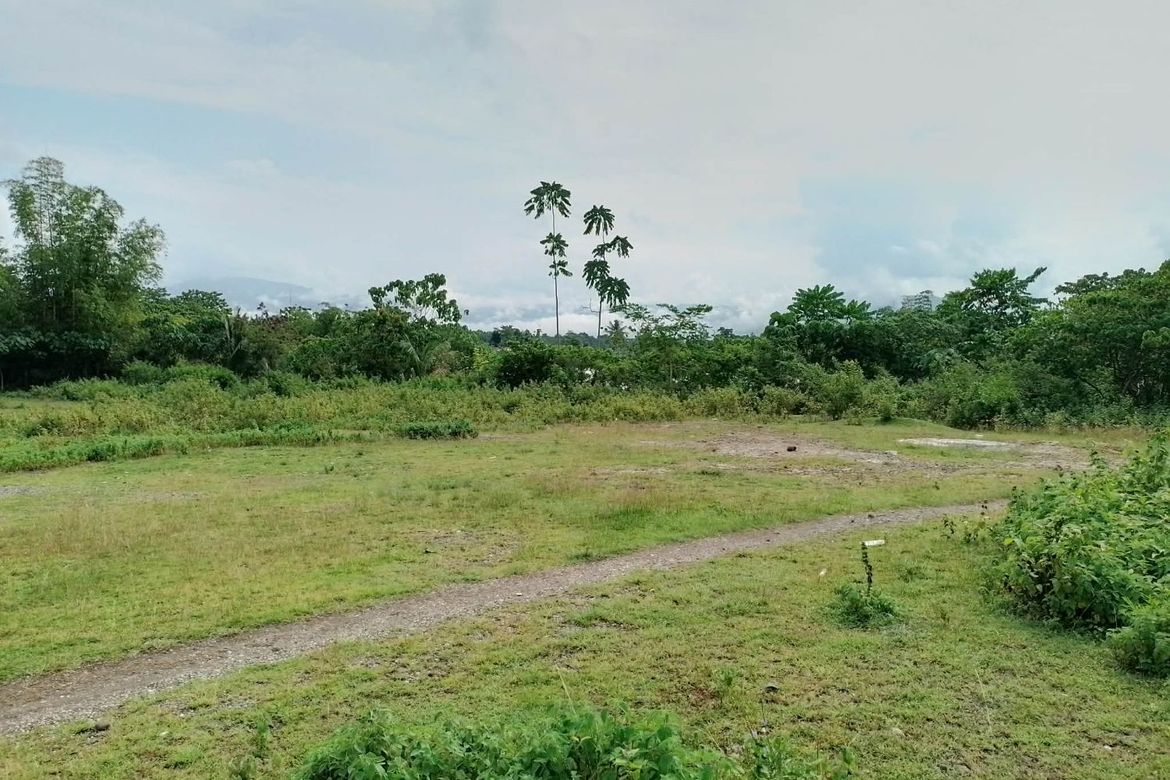 Land for Sale in Himocdongon, Mabinay, Negros Oriental – photo 4