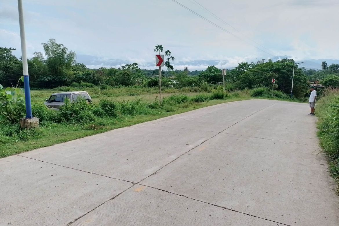 Land for Sale in Himocdongon, Mabinay, Negros Oriental – photo 5